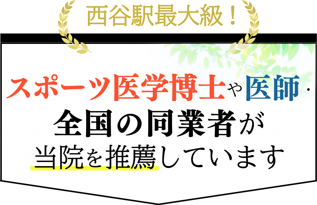 スポーツ医学博士、医師、同業者、医療関係者が当院を推薦しています